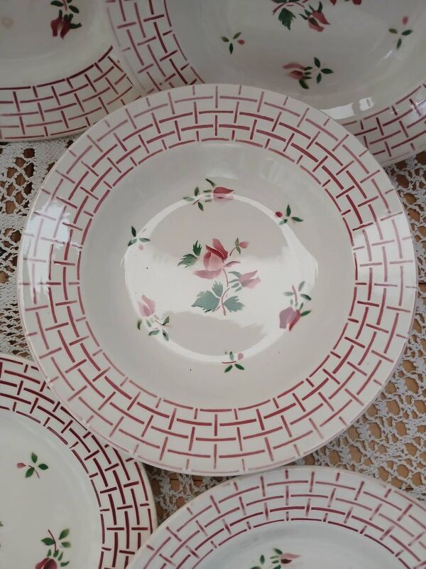 12 assiettes + 1 Plat Digoin et Sarreguemines