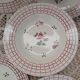 12 plates + 1 Digoin and Sarreguemines dish