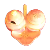 Old porcelain pepper