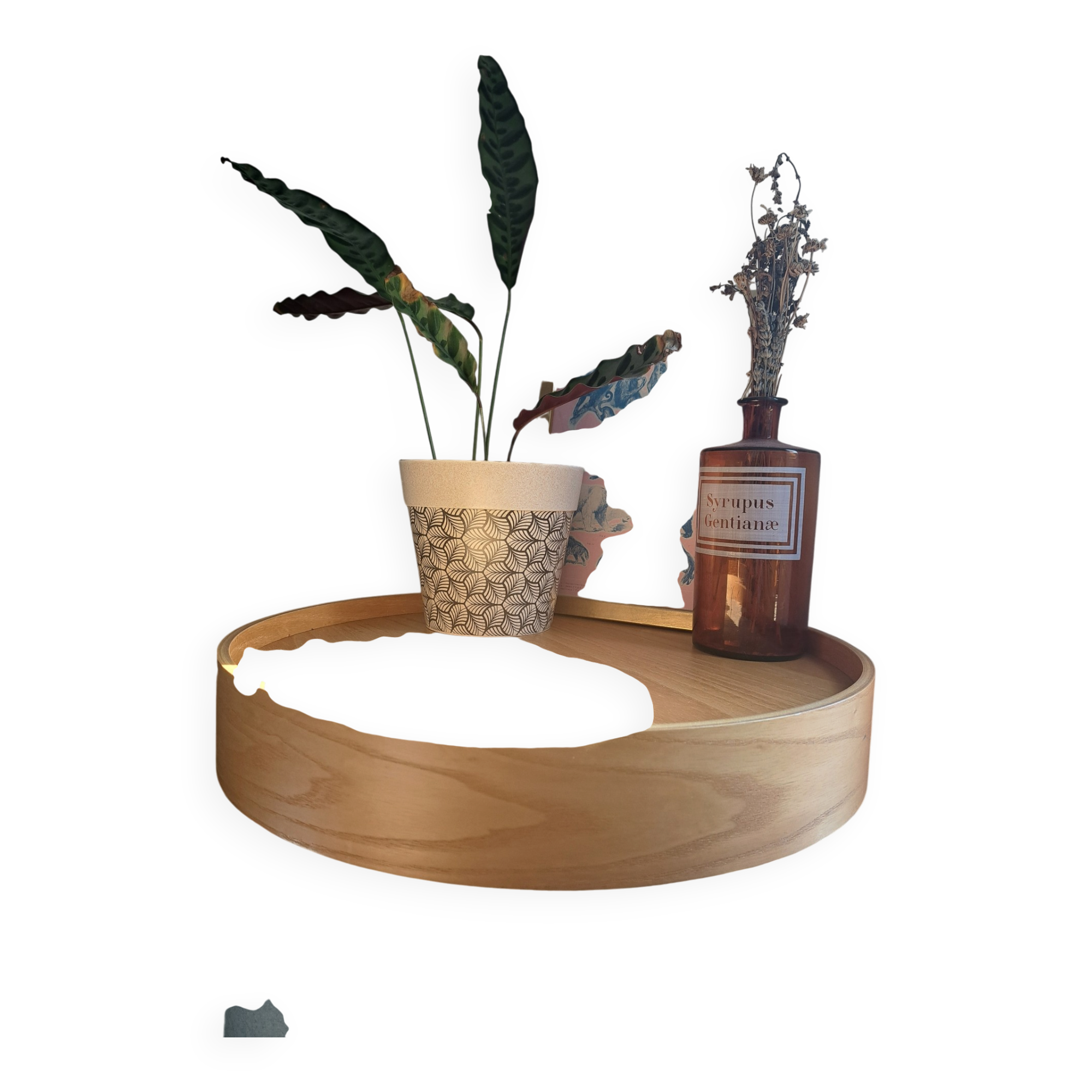 Drum Side Table Softline