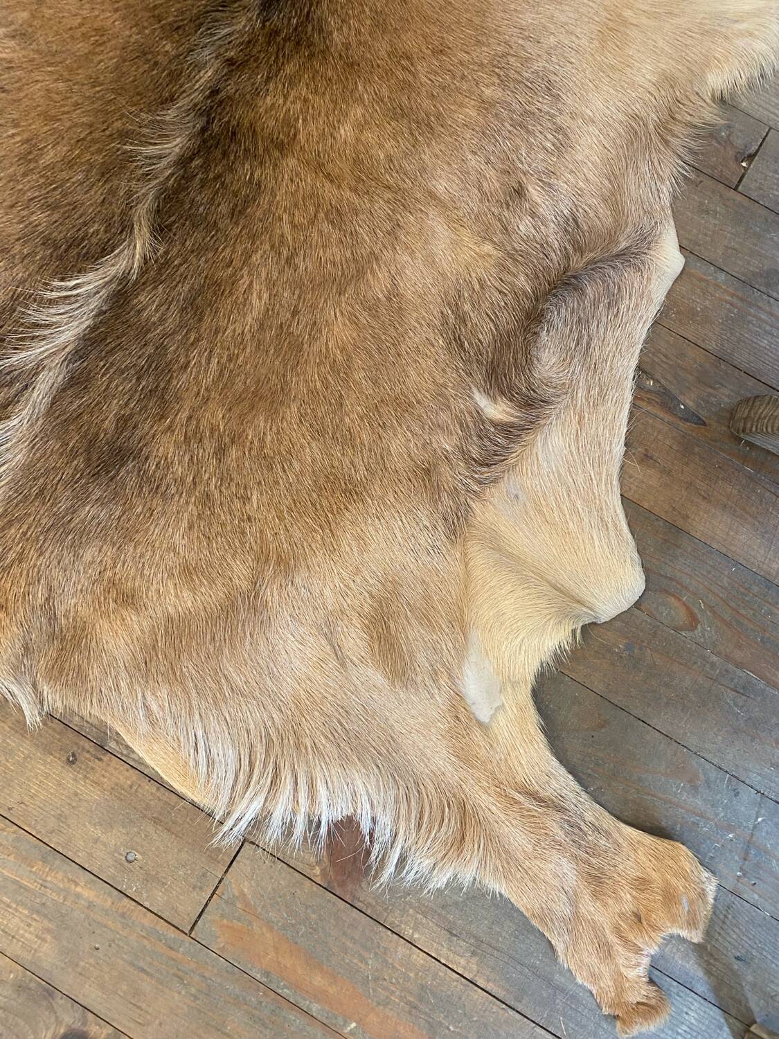 Vintage rug