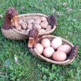 Lot of 4 baskets in baskets