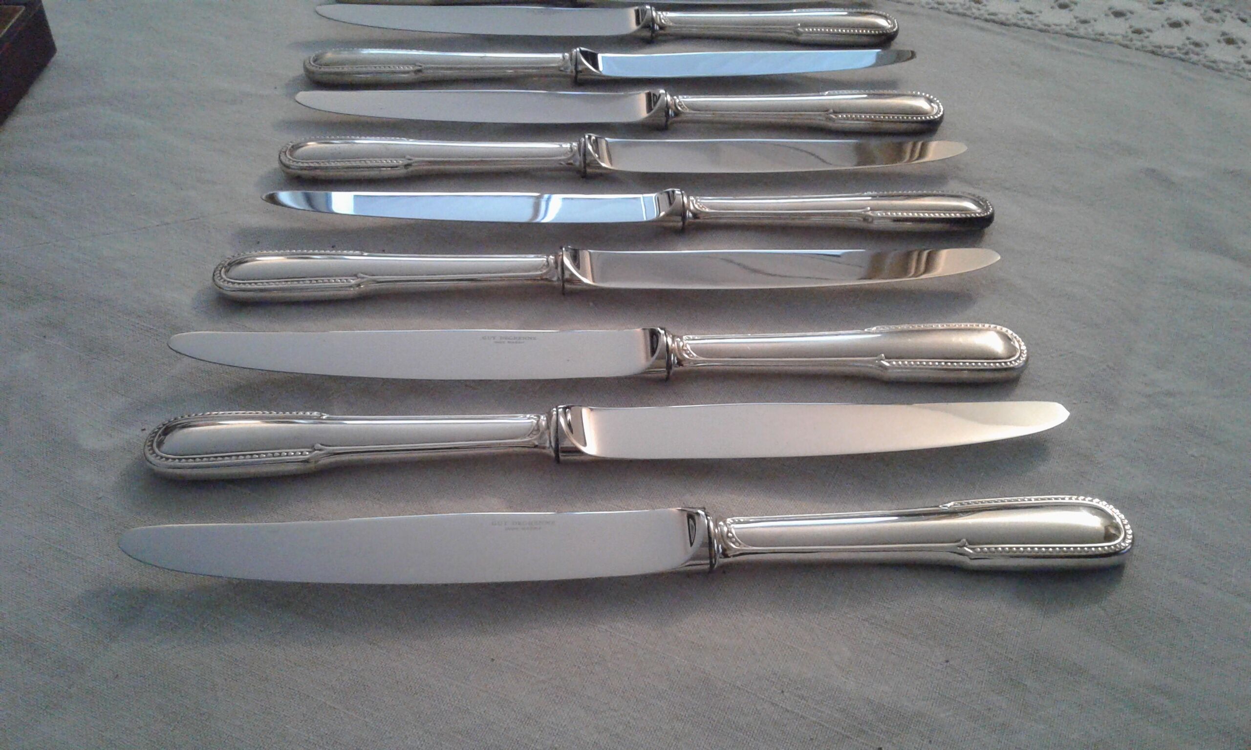 12 knives stainless steel Guy Degrenne