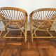 Bench and 2 rattan chairs
