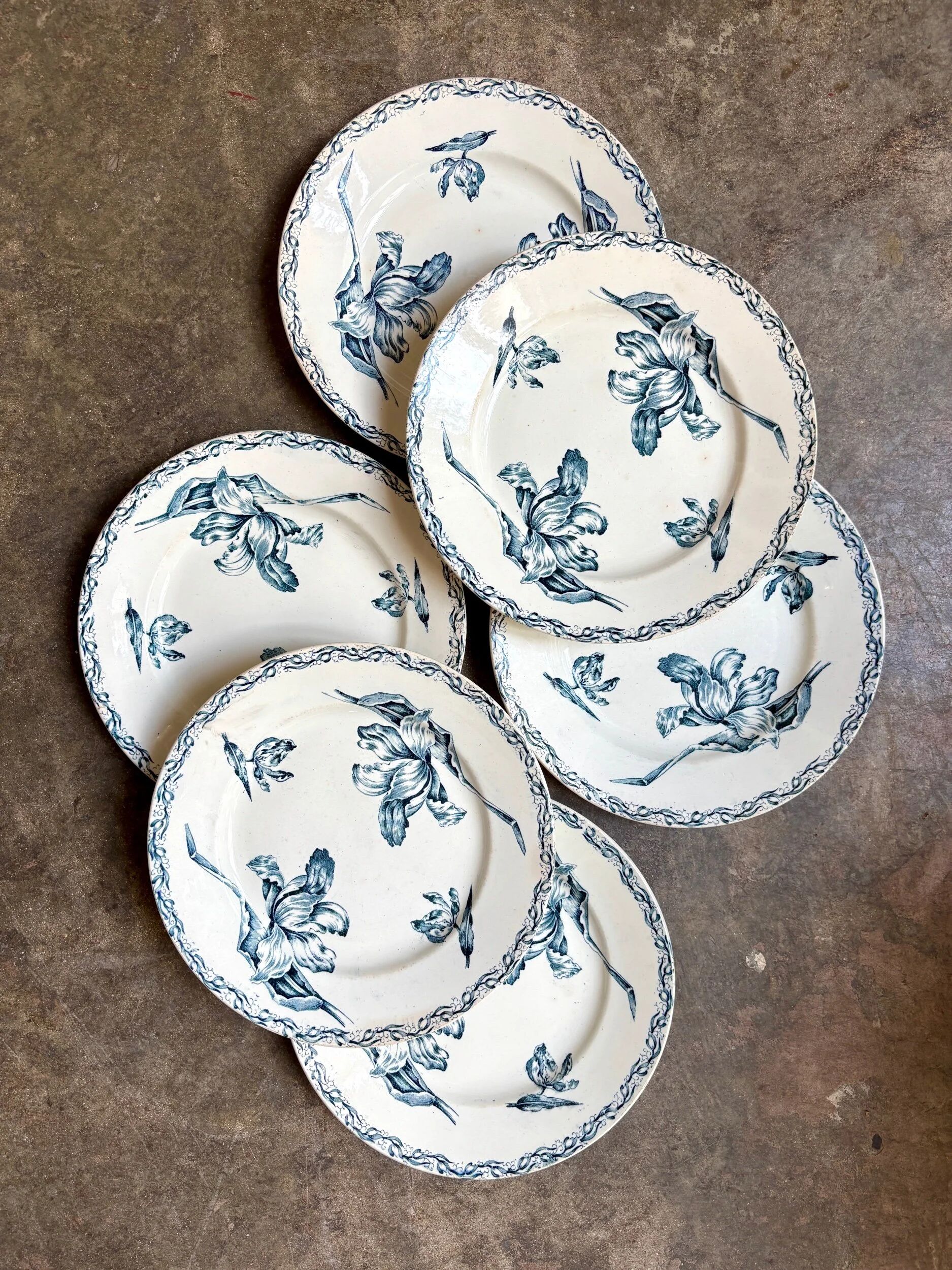 6 flat plates Lunéville in blue ironstone, "Tulip" service