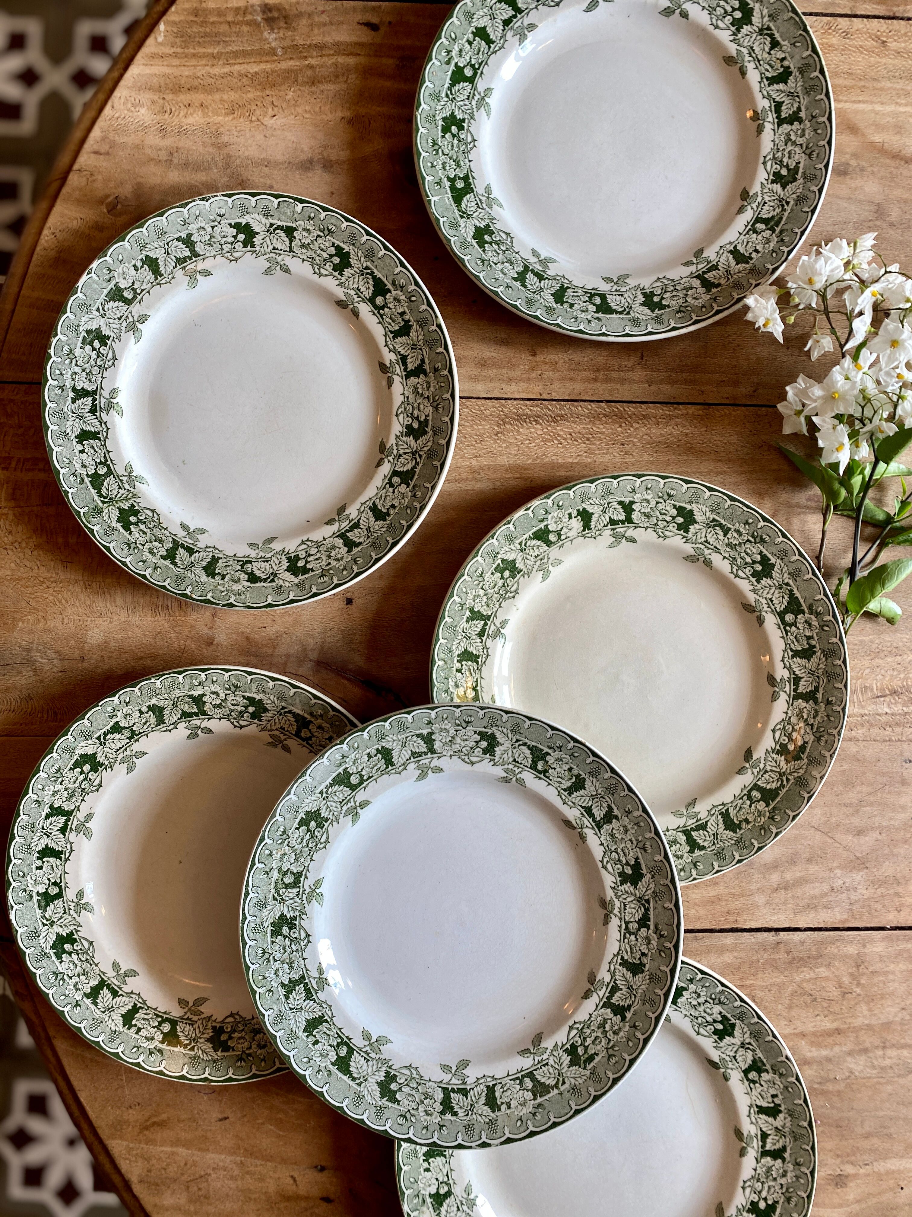 Set of 6 old plates in iron earth, model Murier de Saint Amand