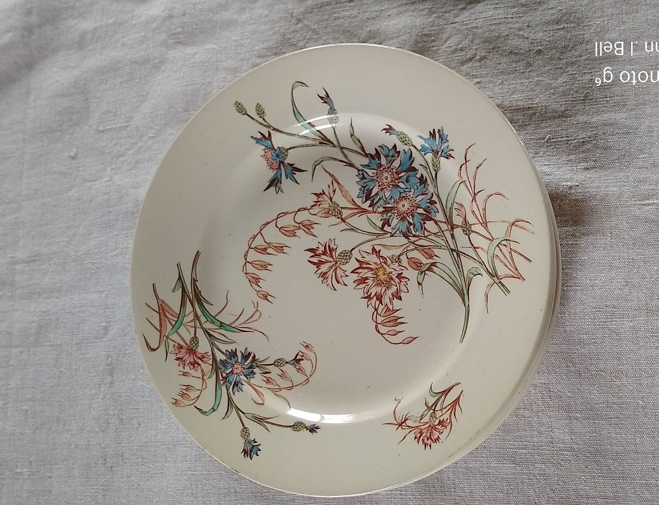 8 flat flowery plates country décor Lunéville Cornflower