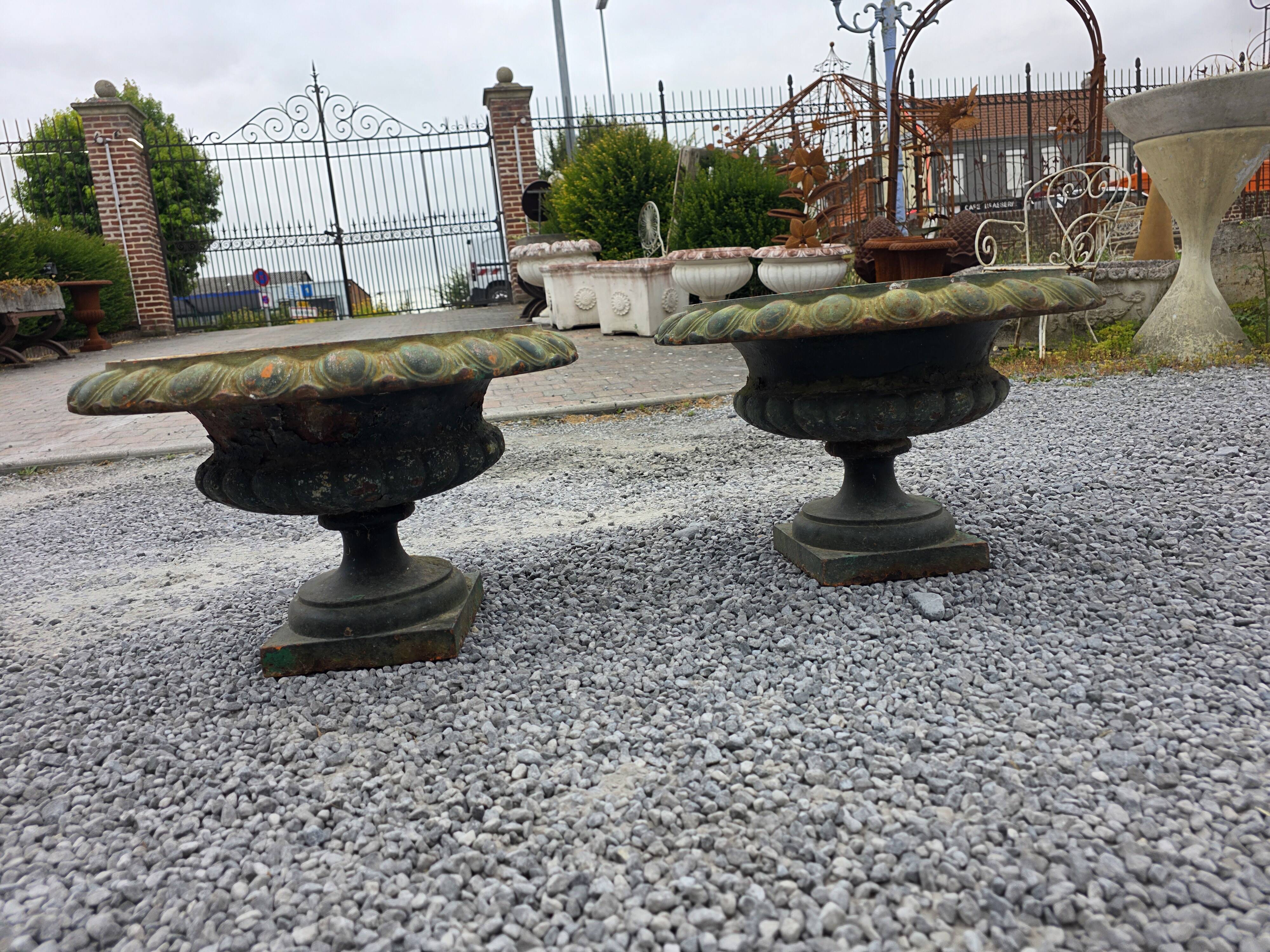 Pair of Medici vases in cast iron from the 19th century, 55cm wide.