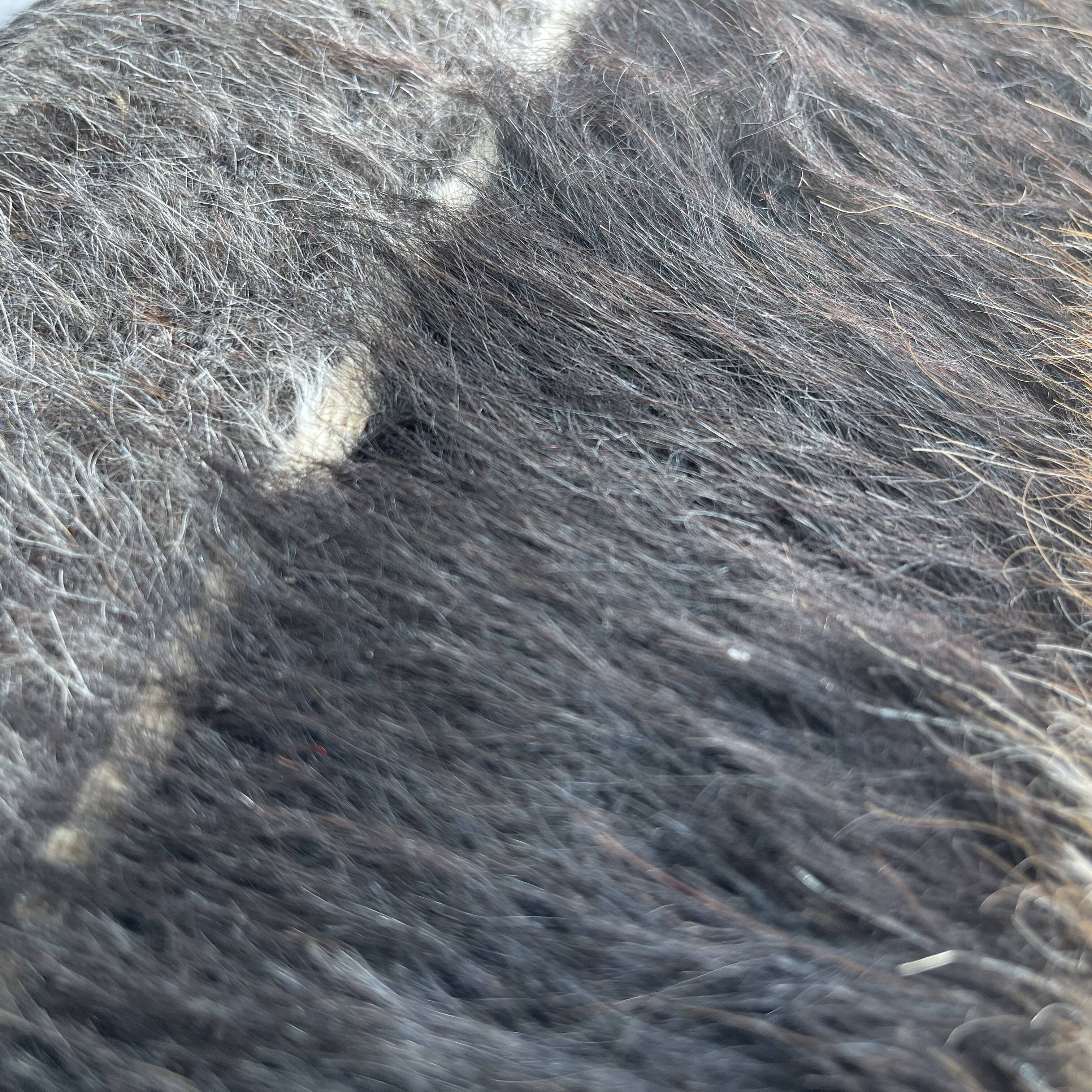 Vintage turkish kilim cushion cover, 30 x 50 cm