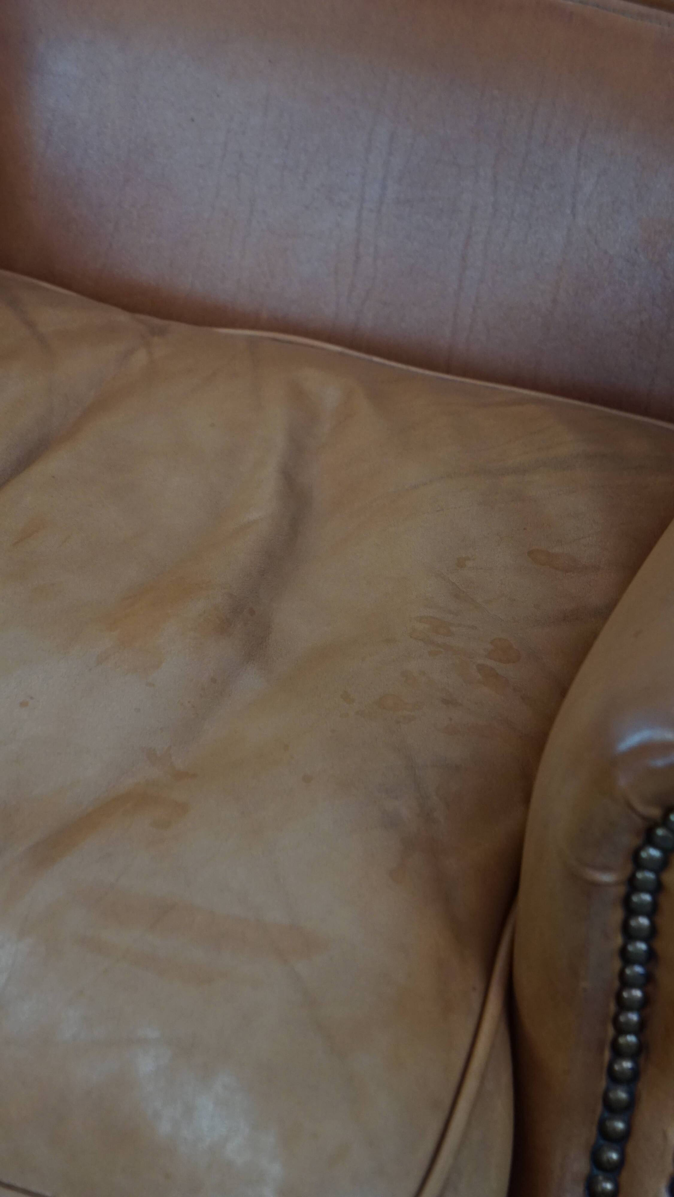 Wingback Chair Made of Cowhide Leather