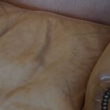 Wingback Chair Made of Cowhide Leather