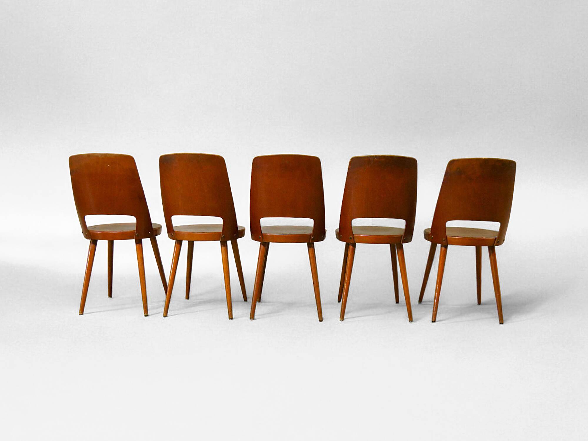 5 chaises Baumann Mondor, 1950-1960