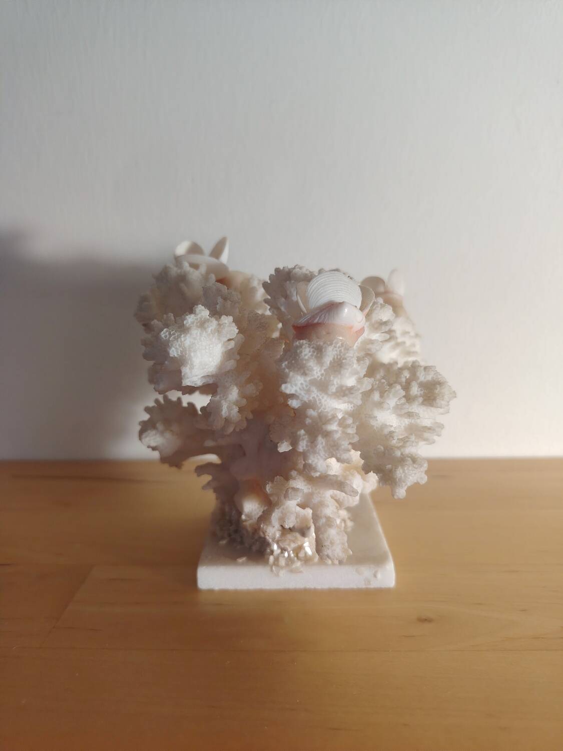 Antique white coral adorned with pink seashells