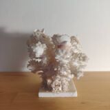 Antique white coral adorned with pink seashells