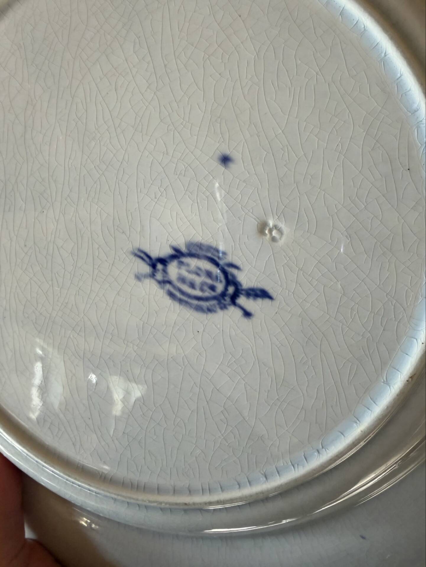 Plate Creil and Montereau in ironstone, Flora model.