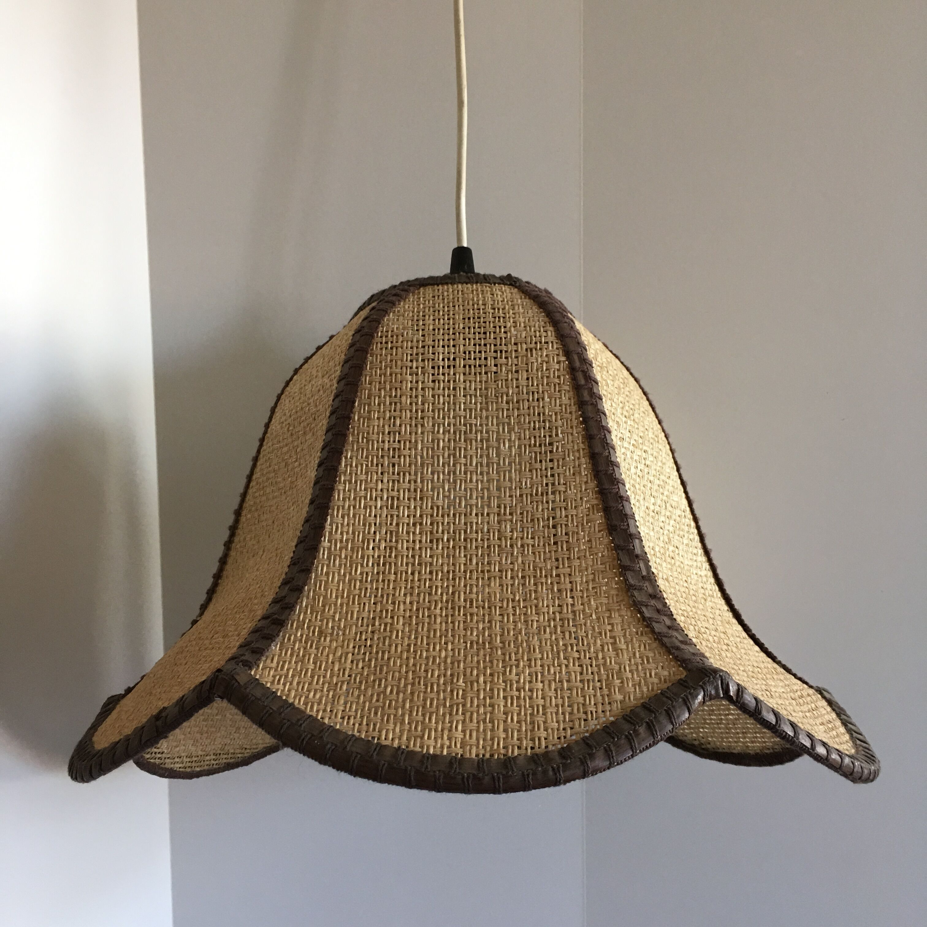 Hanging in wicker and rope-shaped petals