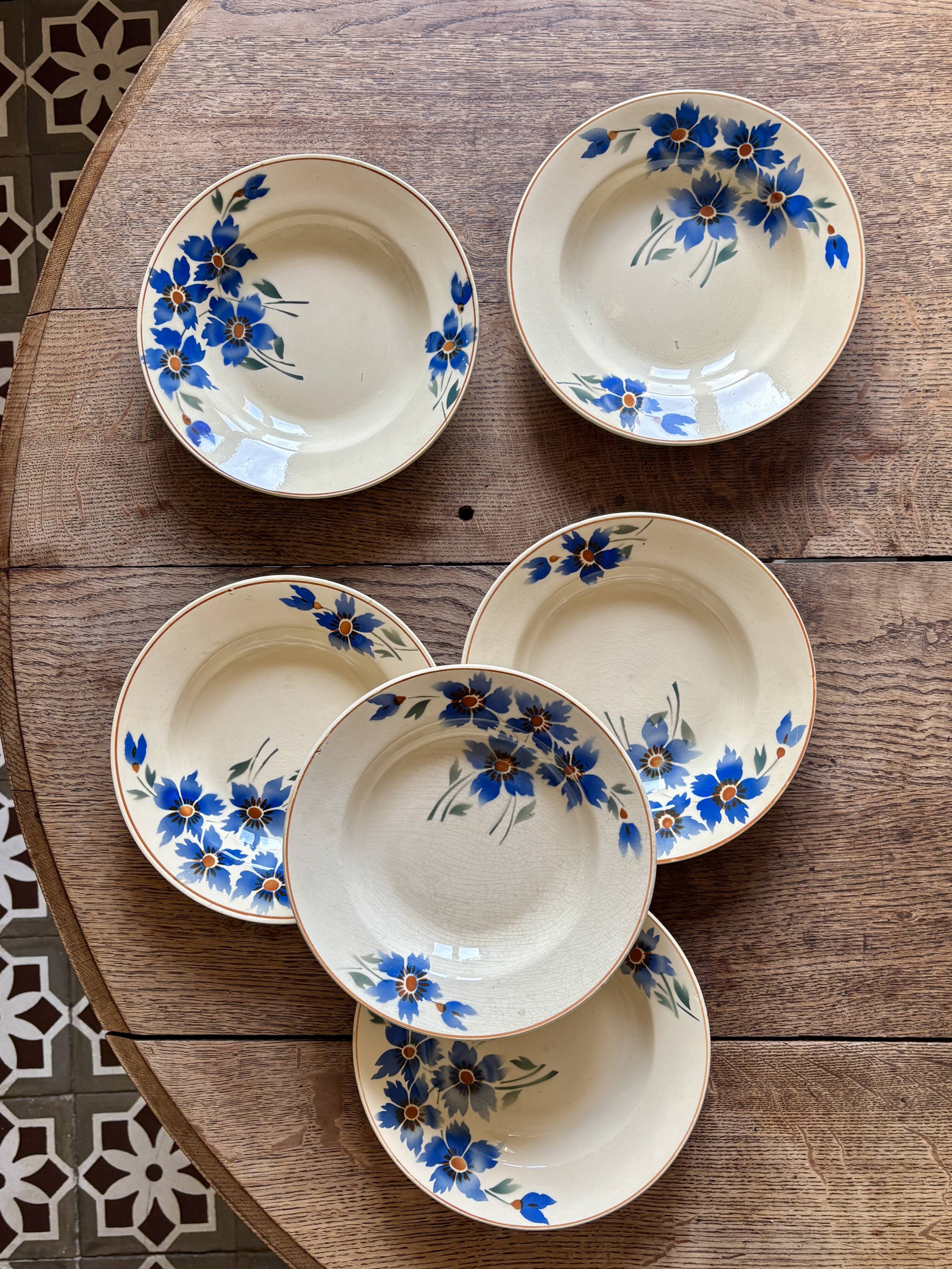 Set of 6 old-fashioned soup plates with blueberry decorations
