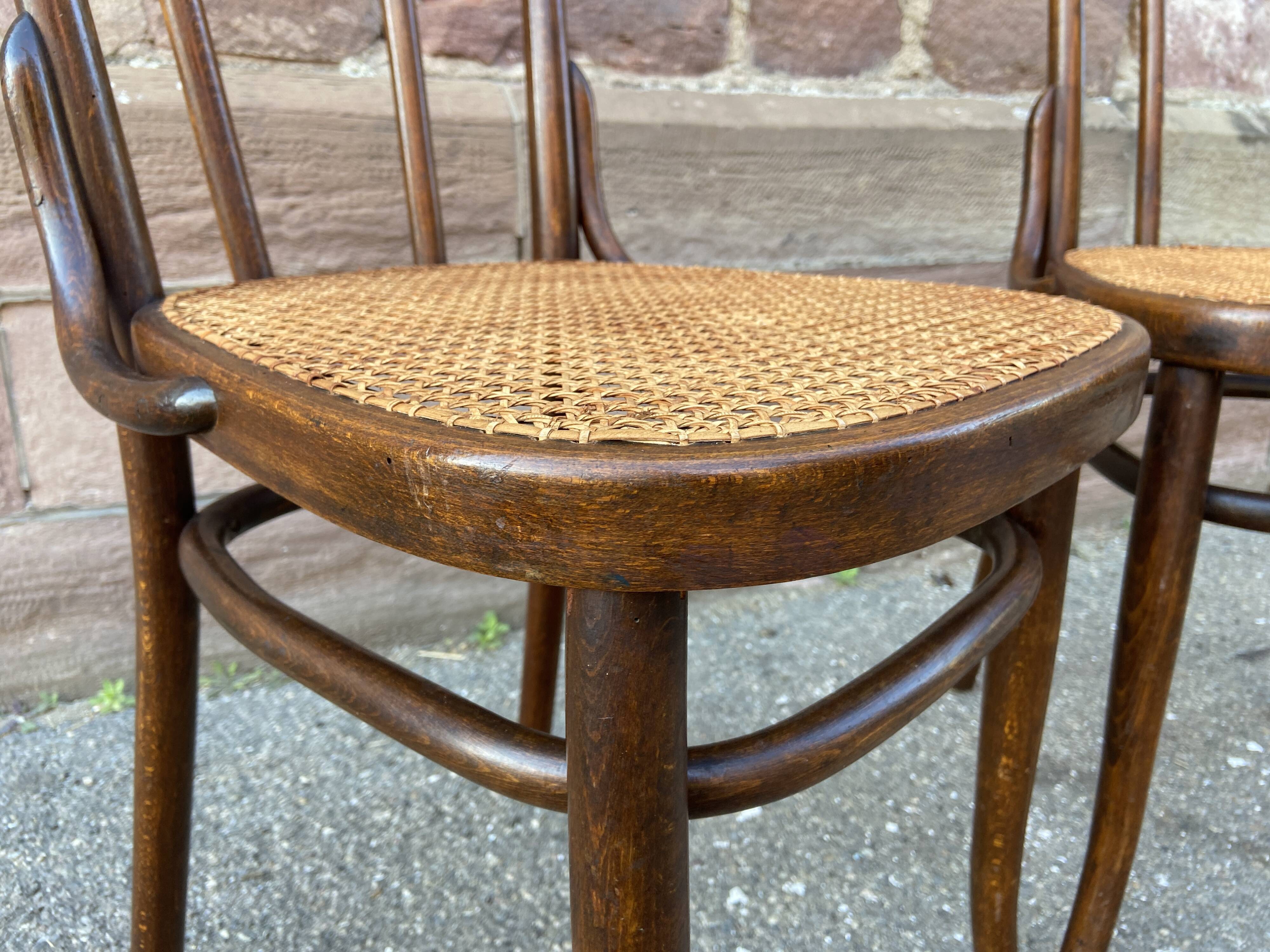 2 chairs bistro Thonet Nr 56 curved wood