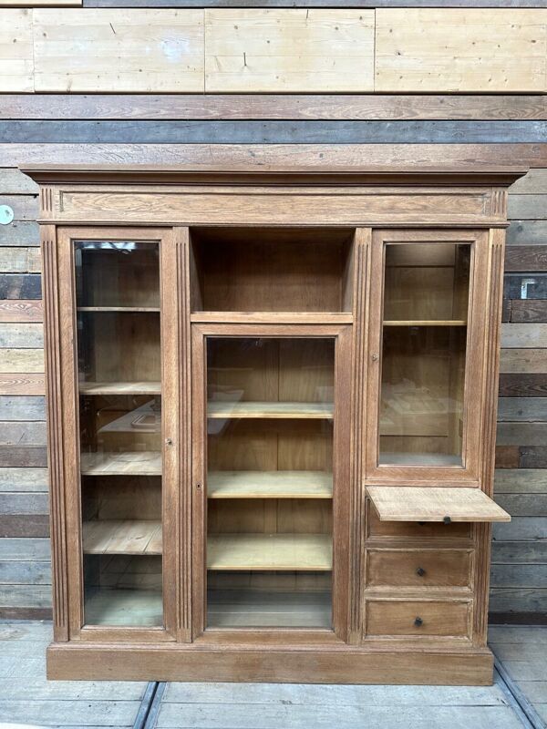 Bibliothèque atypique fin XIXème