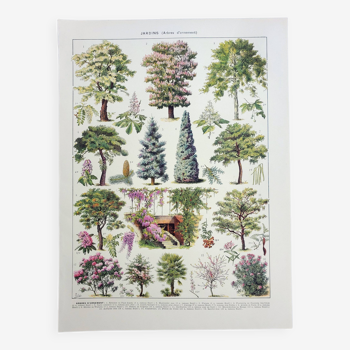 Gravure ancienne 1928, Jardins 2, arbres d'ornement, plantes • Lithographie, Planche originale