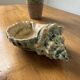 Ceramic shell empty pocket or ashtray 1970