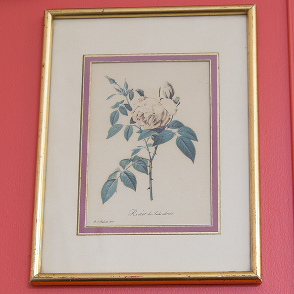 Botanical planks rose roses Dreaded