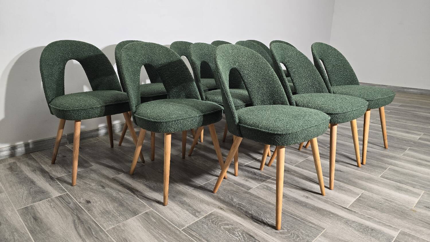 Dining Chairs by Antonin Suman, 1960s, Set of 12