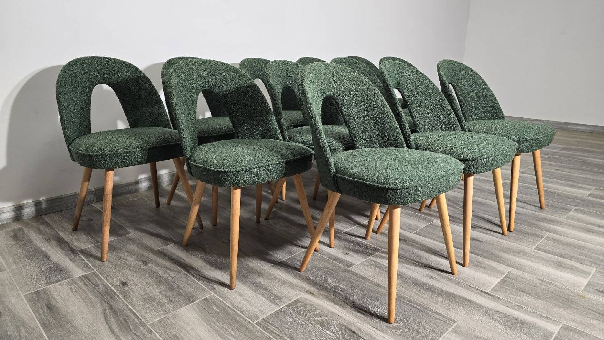 Dining Chairs by Antonin Suman, 1960s, Set of 12