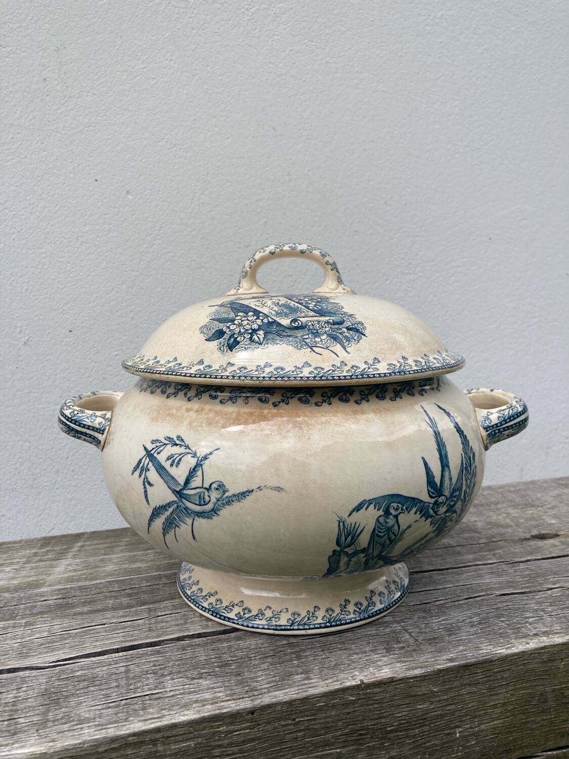 Earthenware tureen tureen Pexonne birds