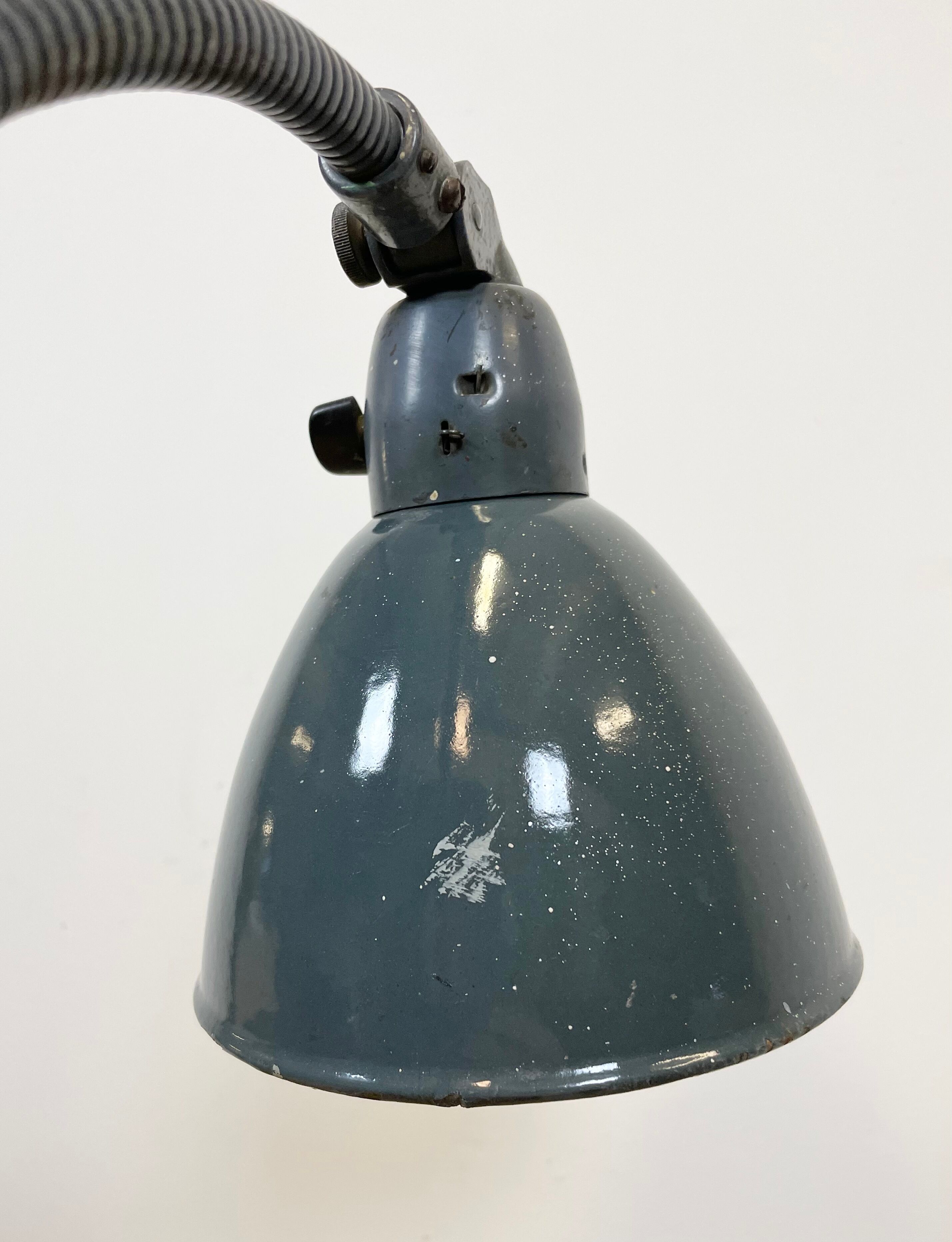 Industrial Grey Enamel Gooseneck Desk Lamp from Siemens, 1950s