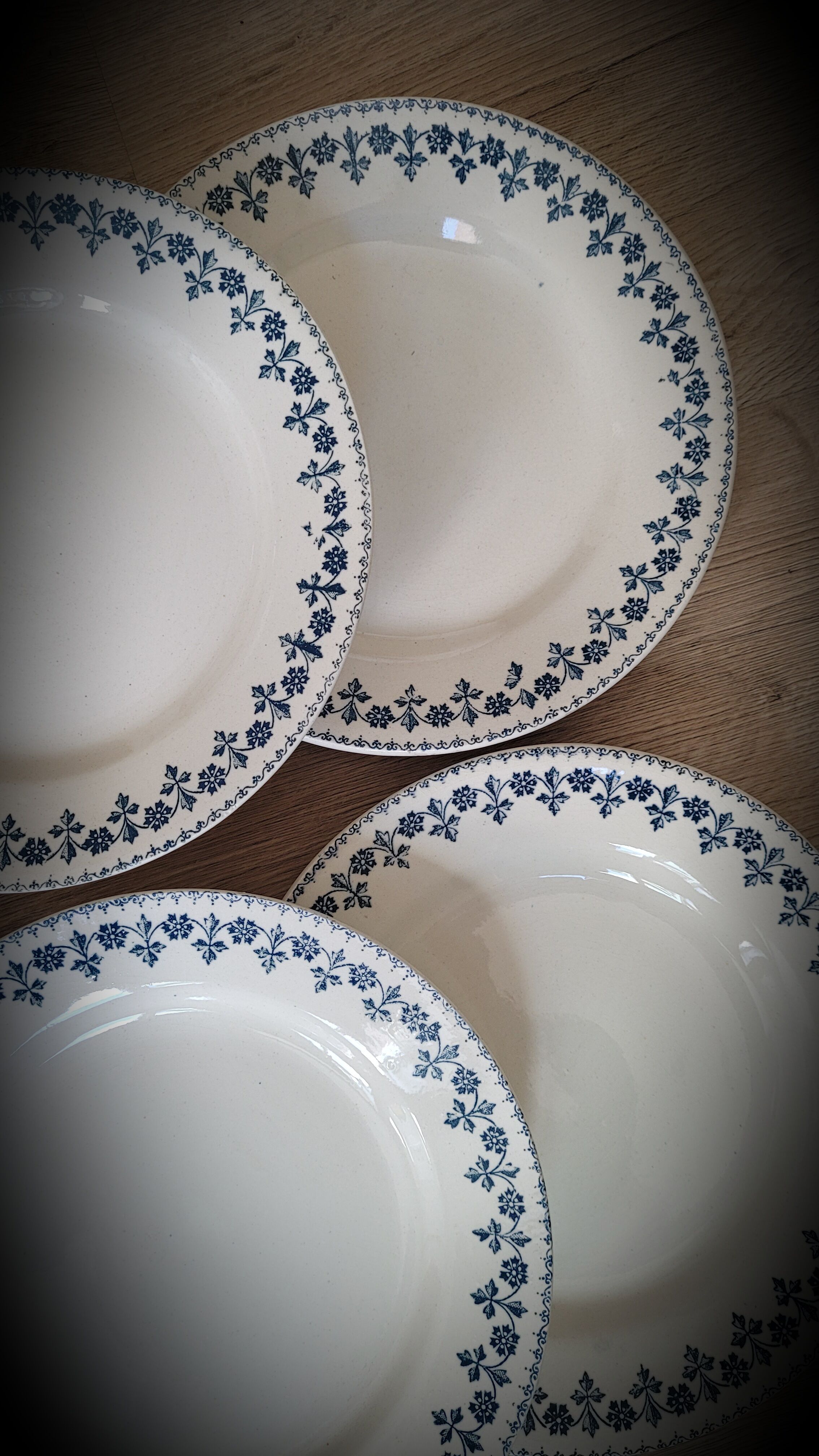 Set 6 plates Terre de Fer Barbeaux