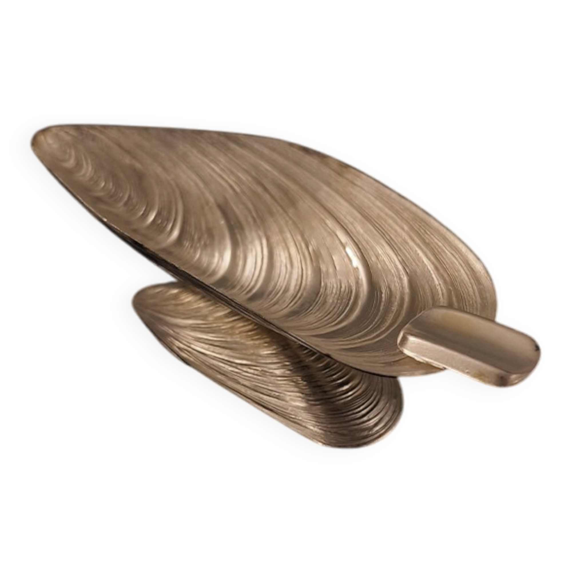 Shell ashtray