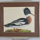 Animal lithography