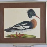 Animal lithography