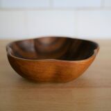 Dish teak