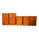 Ensemble de meubles de rangement vintage par Pierre Gautier Delaye
