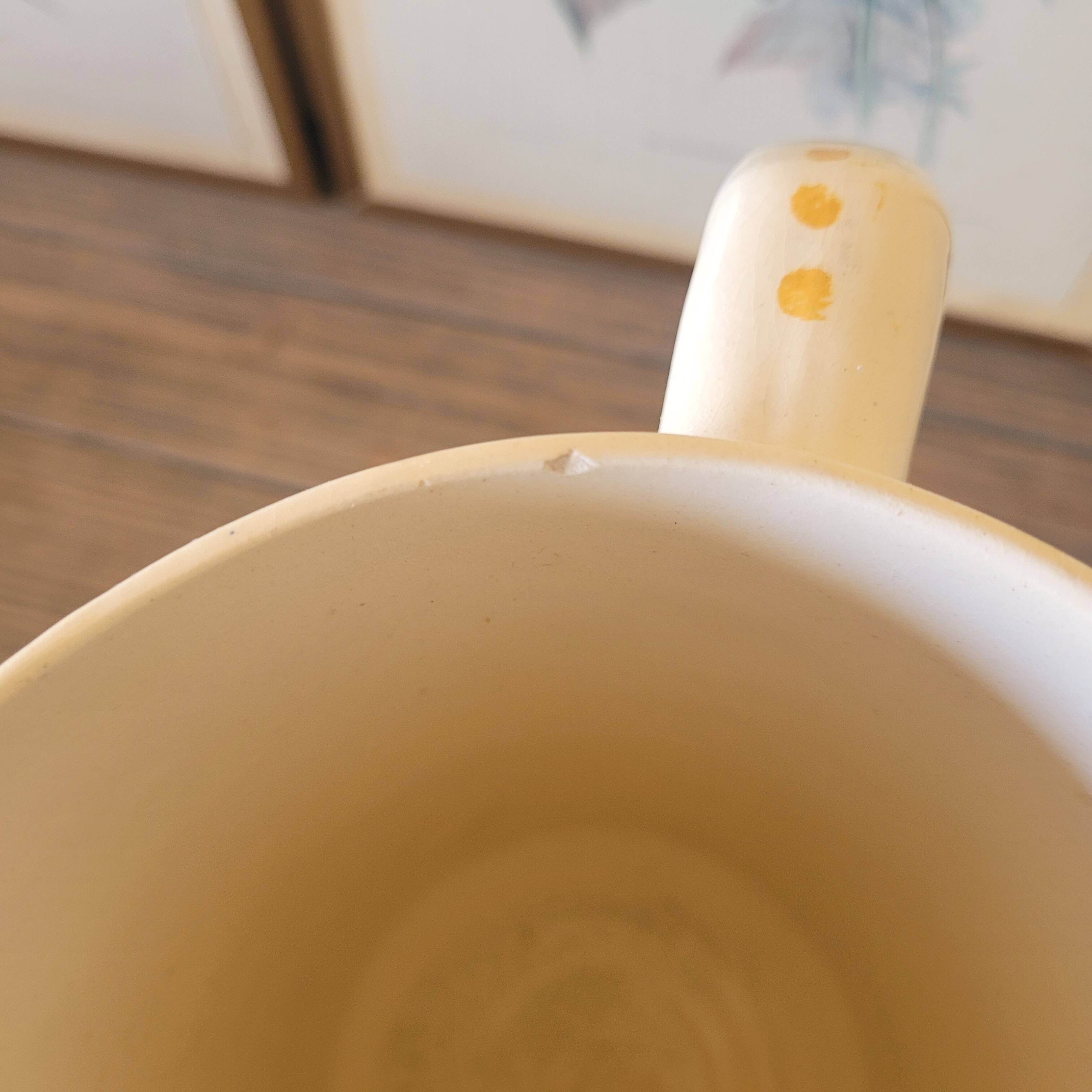 Pitcher / Vase Choisy Le Roi HBC Chatou, green orange black bird decoration