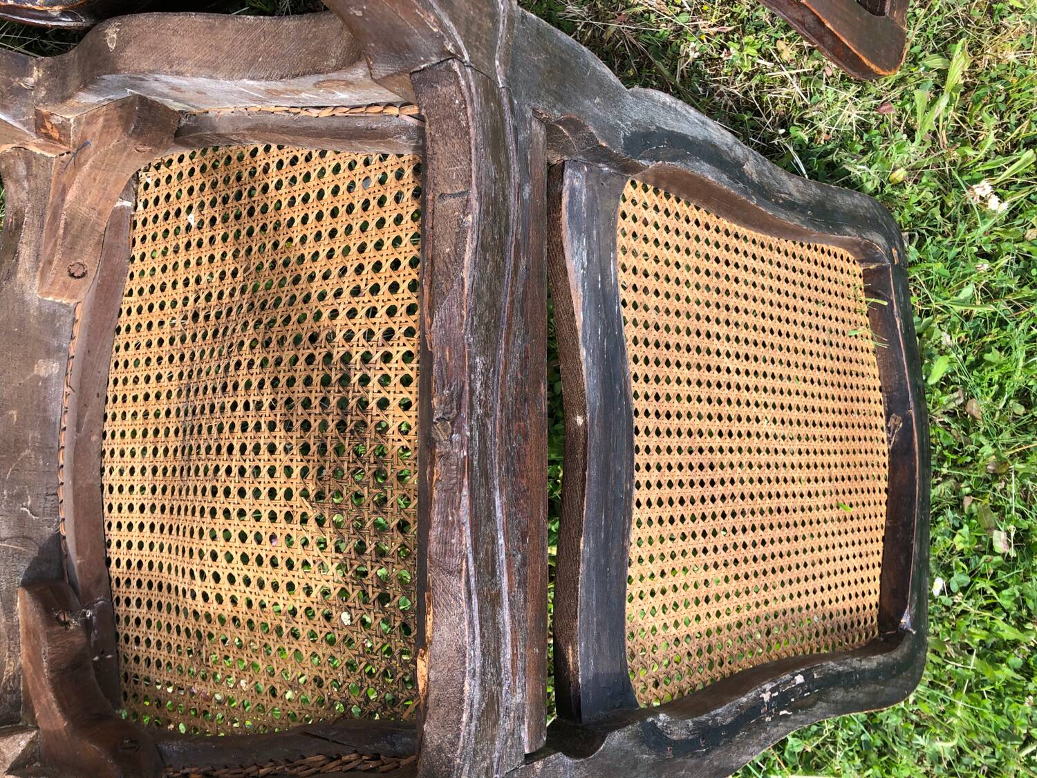 Old Louis XV caned chairs