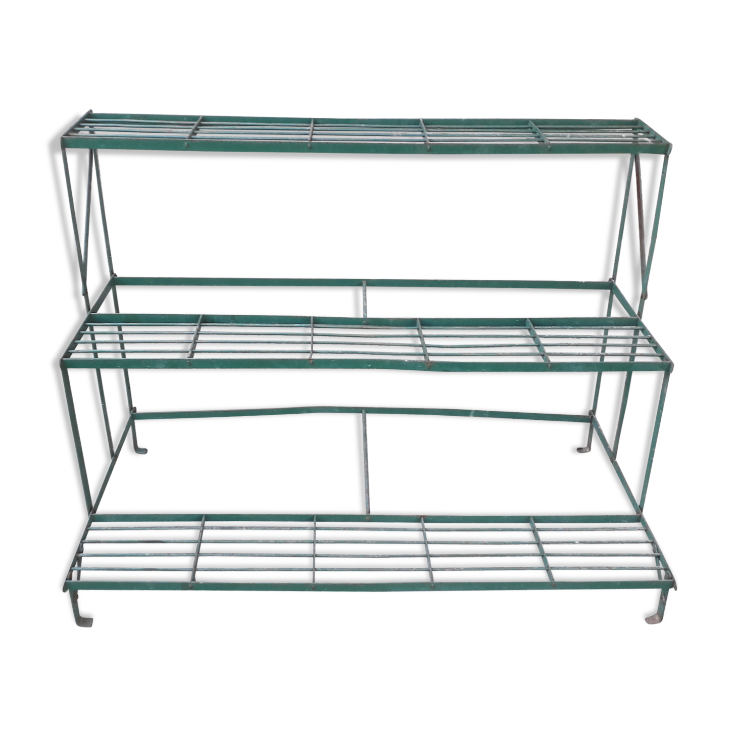 Shelf wear old plants