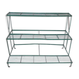 Shelf wear old plants