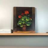 Geraniums