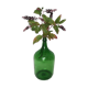 Dame Jeanne en verre vert émeraude