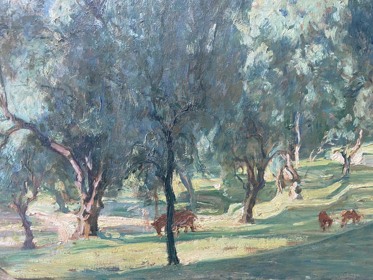 Octave Denis Victor Guillonnet (1872 - 1967) The Olive Trees,