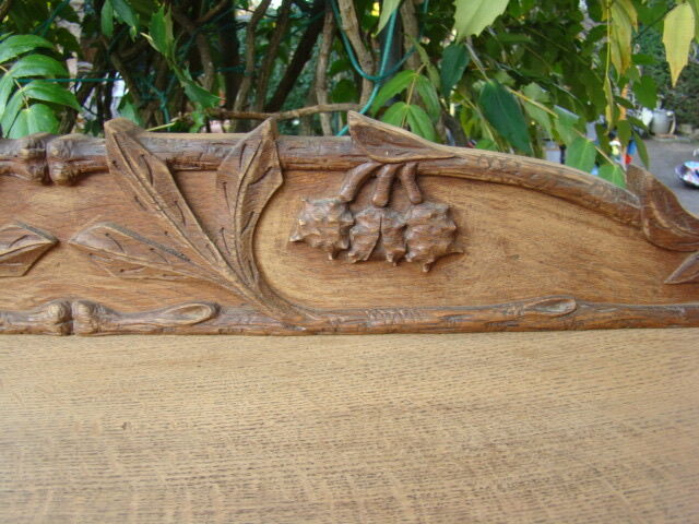 Bibus in oak art nouveau