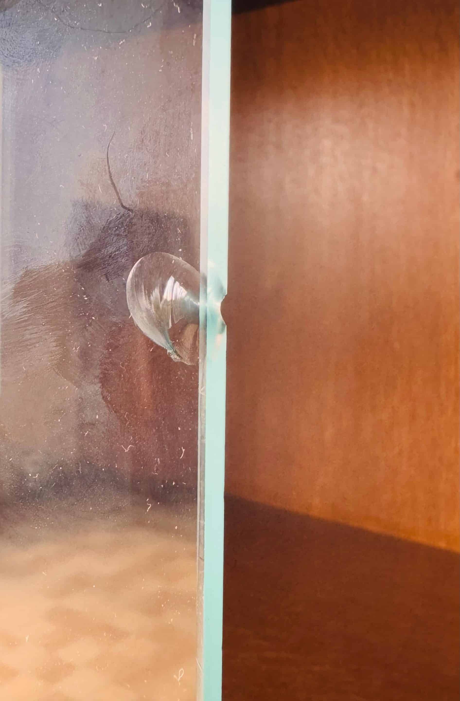 Large bookcase by Oscar Furniture by Didier Rozaffy