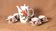 Cafetière aux fruits 5 tasses Evesham, porcelaine fine Royal Worcester Eves