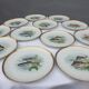 Set 12 plates porcelain fish edge laurel gold Bernardaud