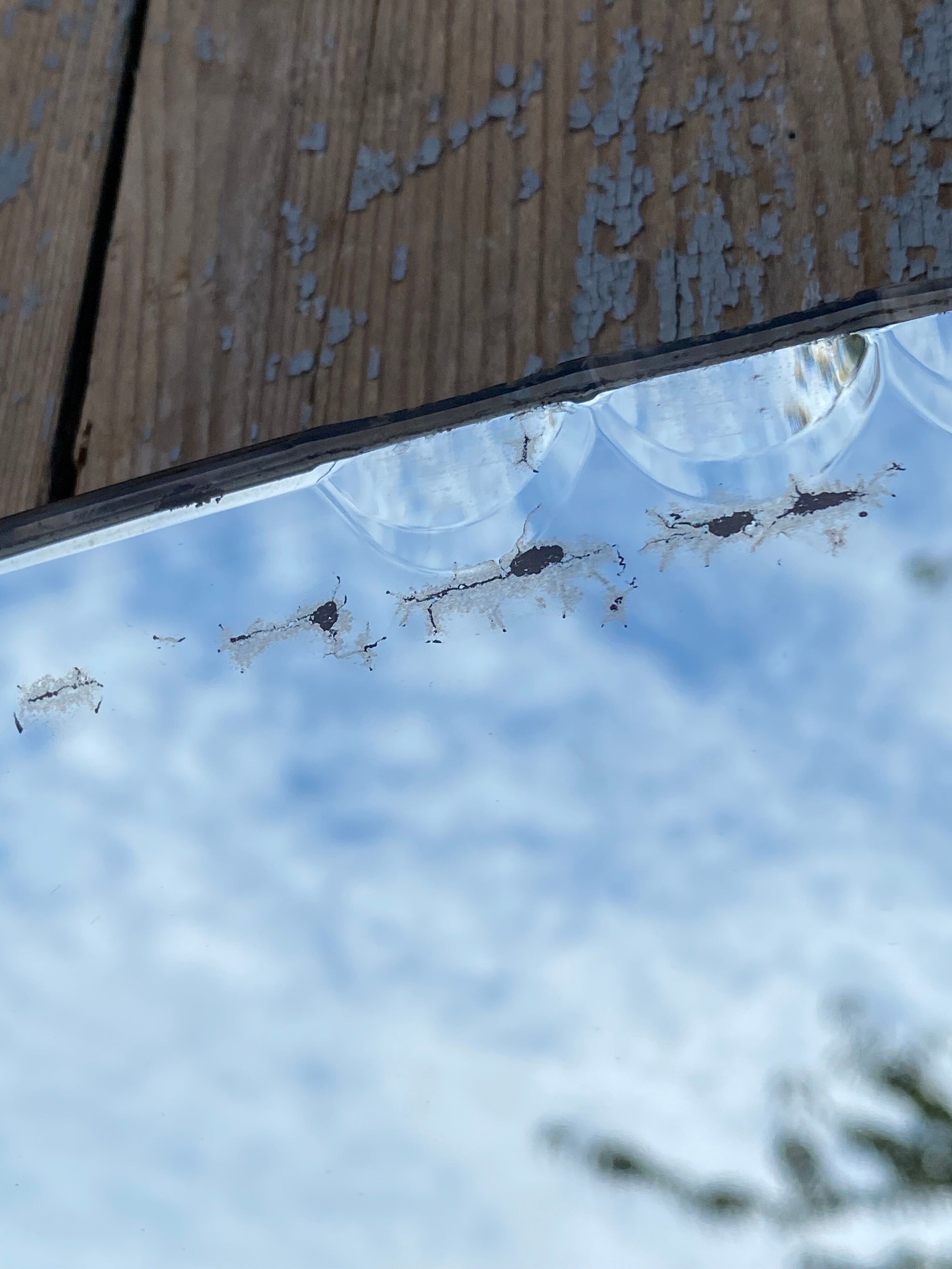 Vintage beveled mirror