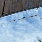 Vintage beveled mirror