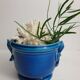 Blue pot cache